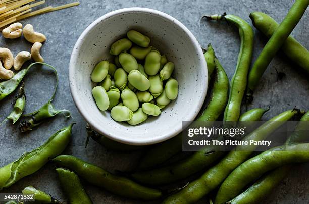 fava beans and pods - fava bean stock pictures, royalty-free photos & images