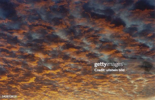 Schäfchenwolken , in Reihen und Rippen angeordnetes Wolkengebilde, erscheinen durch die Sonnenstrahlen im rötlichen Licht. Aufgenommen 1997.