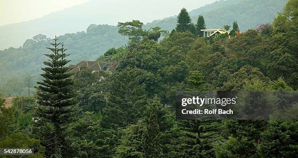 indonesia, java,  landscape on puncak pass - puncak pass stock pictures, royalty-free photos & images