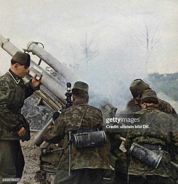 224 Waffen Ss Division Stock Photos, HighRes Pictures, and Images