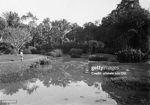 12 Botanical Garden Of Buitenzorg Stock Photos, High-Res Pictures, and ...