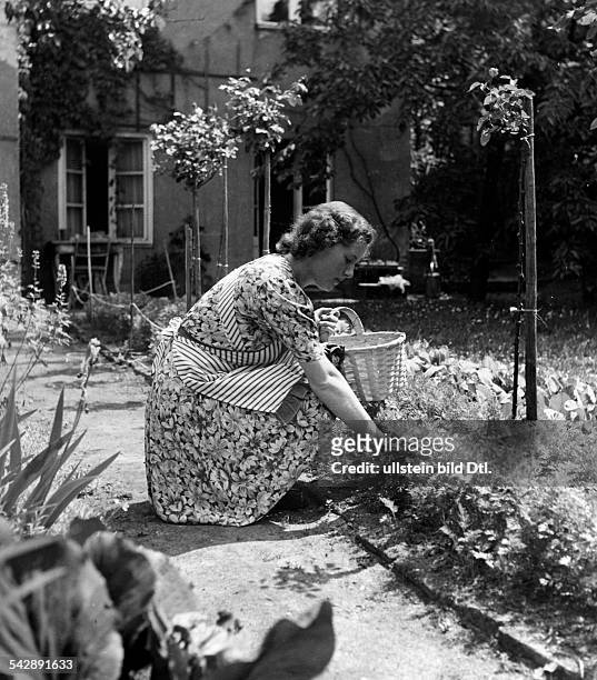 Gartenbau: Frau mit Schürze hockt bei derGartenarbeit vor einem Beet- 1943