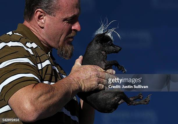 Jason Wurtz of Van Nuys, California, holds his dog Sweepee Rambo during the 2016 World's Ugliest Dog contest at the Sonoma-Marin Fair on June 24,...