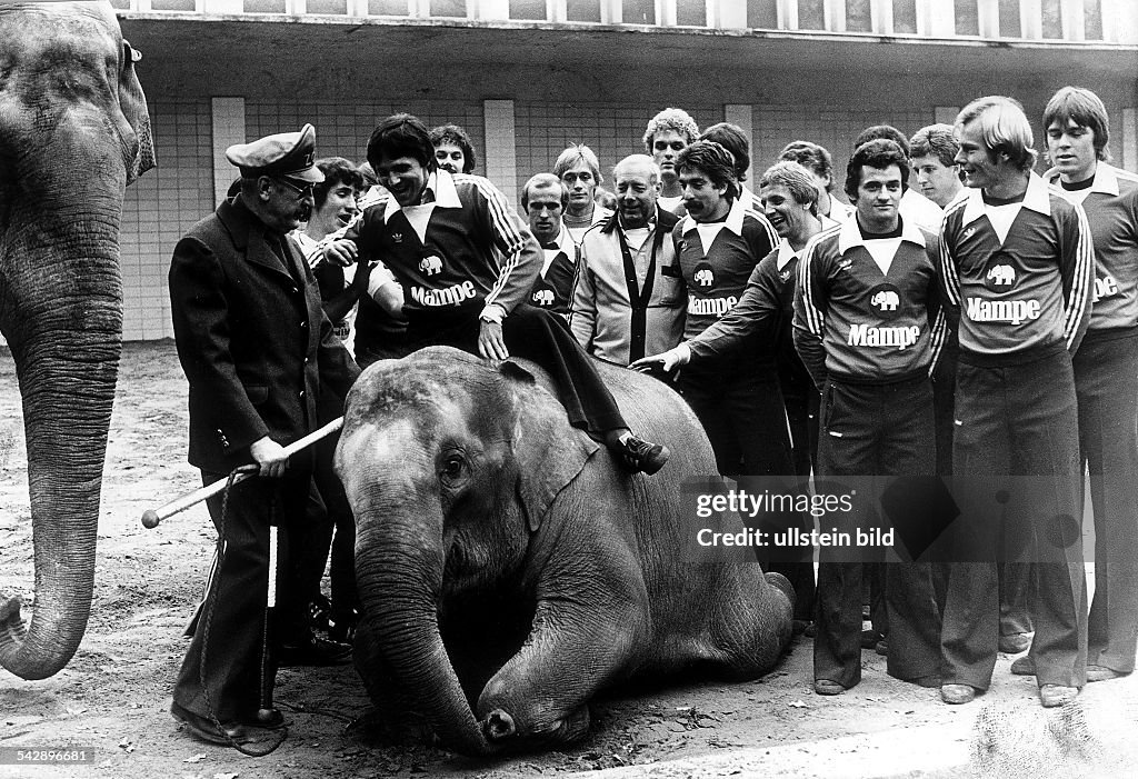 Fussballmannschaften