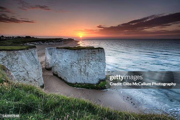 botany bay high - white cliffs of dover stock pictures, royalty-free photos & images