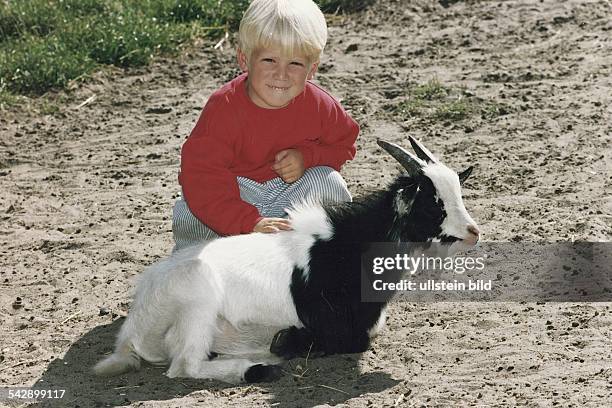 Im Wildpark Eekholt hat sich ein 3-5jähriger Junge in den Sand gehockt, um eine schwarzweiße Ziege, die vor ihm liegt, zu streicheln. Streichel-Zoo. .