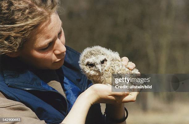 Ein junger Waldkauz mit flaumigem, hellbraunen Gefieder sitzt im Wildpark Eekholt auf der Hand seiner Pflegerin Constanze. Aufgenommen April 1996.