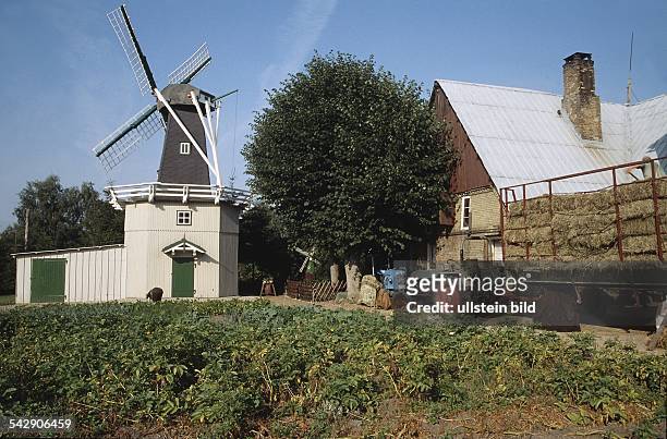 Dellstedt in Dithmarschen : Bauernhof mit eigener Windmühle. Die vom Vater des heutigen Hofeigners in Eigenregie errichtete Mühle ist die bundesweit...