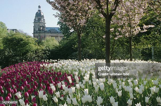 Hamburg: blühende Tulpen vor dem Eingang von Planten un Blomen, im Hintergrund der Turm des Hauptpostamtes am Stephansplatz. Symbolbild .