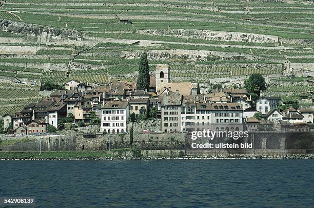 Der von Weinbergen umgebene Ort St. Saphorin am Nordufer des Genfer Sees. Undatiertes Foto.