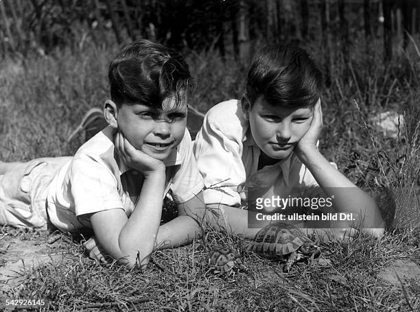 Zwei Jungen liegen im Gras, vor ihnen laufen zwei Schildkröten- Grossbritannien, 1957