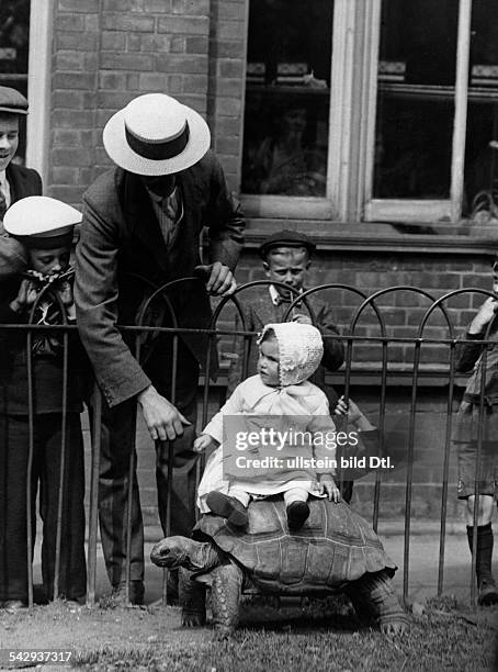 Child images A small child sitting on a tortoise in London Zoo - 1913 - Vintage property of ullstein bild