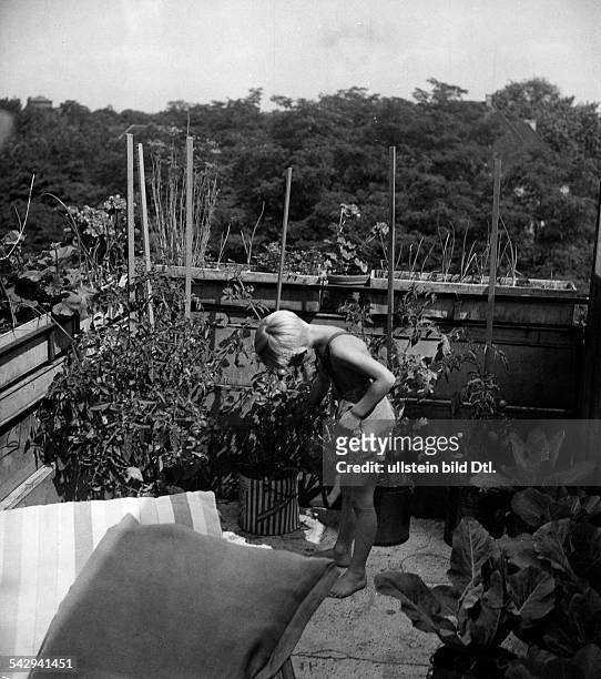 Ein Junge begiesst Gemüse und Kräuter aufeinem Balkon- 1943