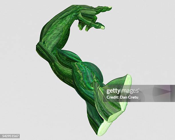 cucumber arm - biceps stock pictures, royalty-free photos & images