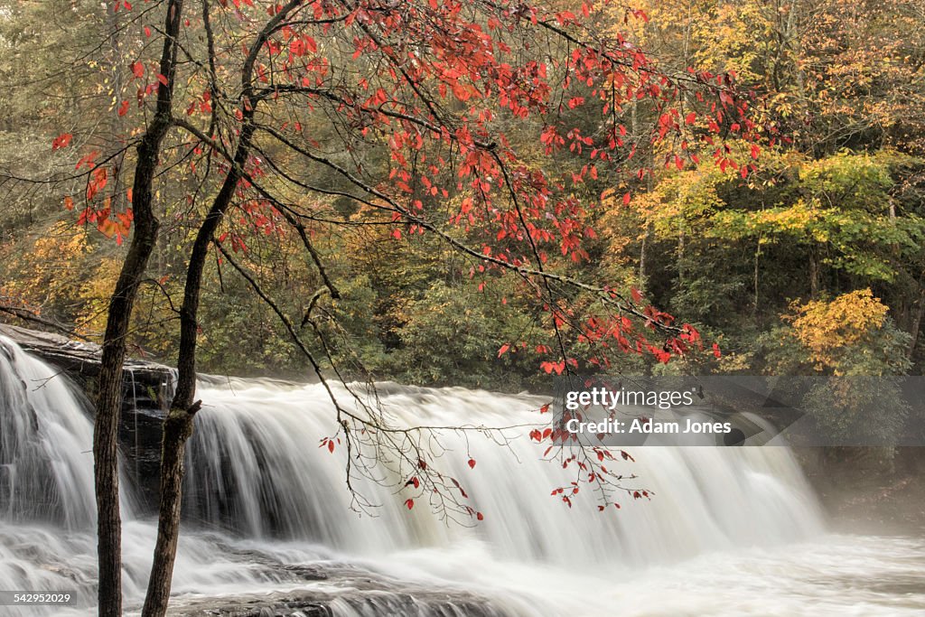 Fall color and Hooker Falls
