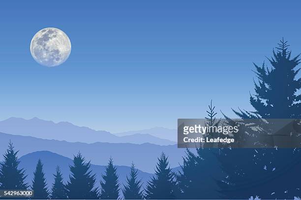 full moon in the blue sky - full moon stock illustrations