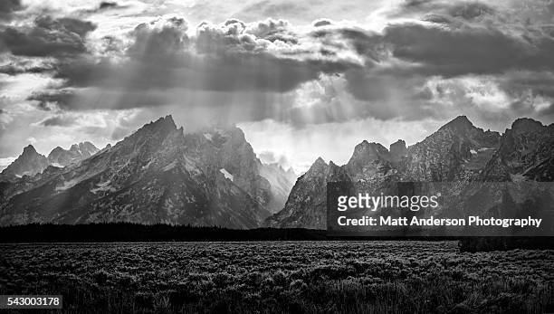 grand teton mountain range in black and white - rabbit brush stock-fotos und bilder
