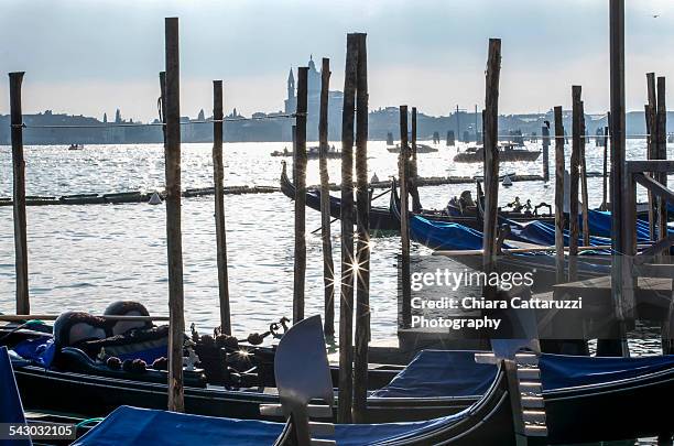 riflessi di stelle nella laguna di venezia - laguna di venezia 個照片及圖片檔