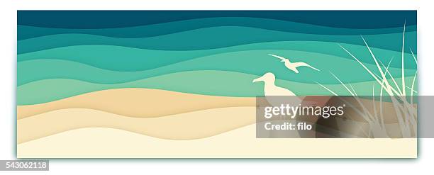 illustrations, cliparts, dessins animés et icônes de bannière mouette sur l'océan - dune de sable