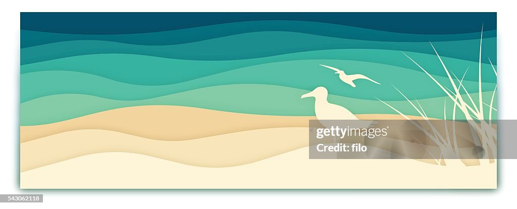 Seagull Ocean Banner