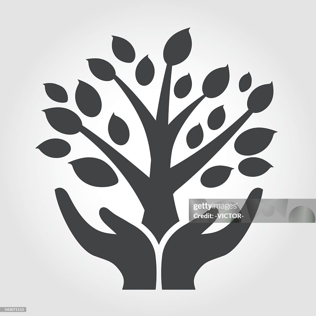 Tree Visual Element Tree Graphic Elements High-Res Vector Graphic - Getty Images