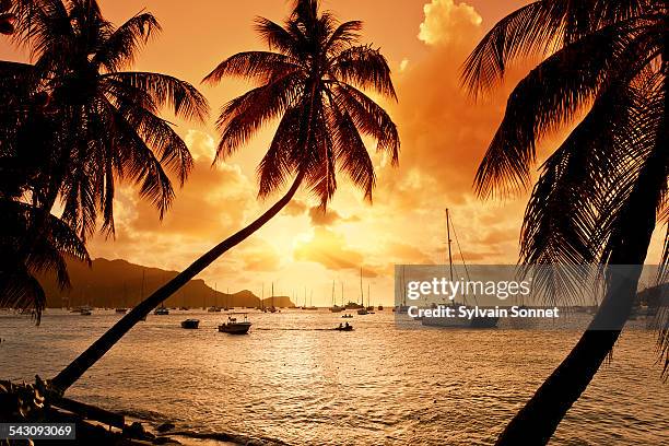 bequia island, port elizabeth - bequia stock-fotos und bilder