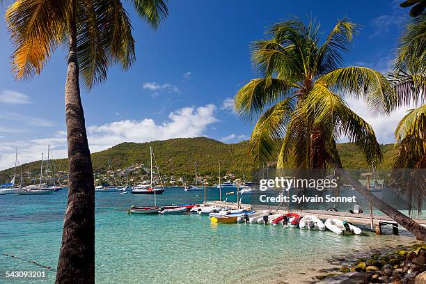 port elizabeth, bequia island - bequia stock pictures, royalty-free photos & images
