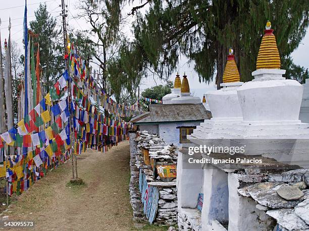 tashiding gompa, tibetan buddhist monastery chorte - tashiding monastery stock pictures, royalty-free photos & images