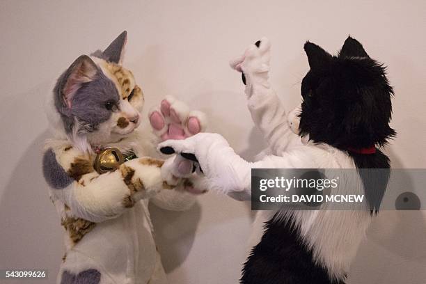 People in cat costumes pretend to fight at CatConLA, a convention to show cat-related products and ideas in art, design, and pop culture, on June 25,...