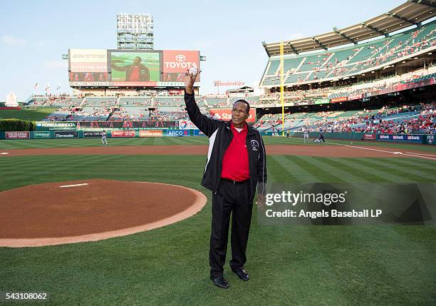 Angel Rod Stats 136 Angel Rod Carew Stock Photos, High-Res Pictures, and Images - Getty ...