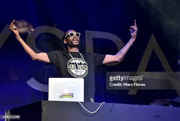 Snoopadelic performs onstage during the OUE Skyspace LA grand opening block party at OUE Skyspace LA on June 25, 2016 in Los Angeles, California.