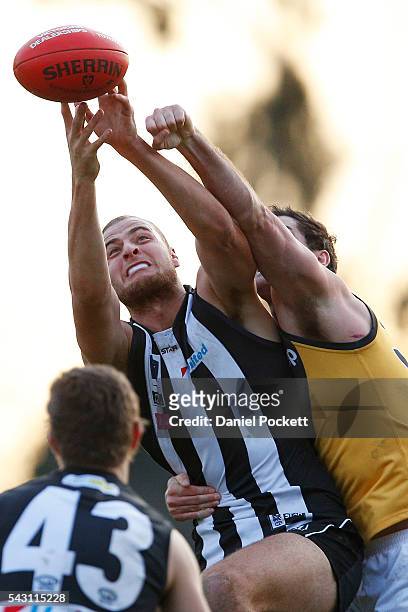 Jarrod Witts of the Magpies and Ryan Bathie of the Tigers compete for the ball during the round 12 VFL match between the Collingwood Magpies and the...