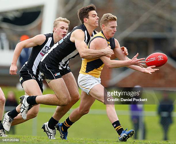 Nathan Drummond of the Tigers is tackled by Corey Gault of the Magpiesduring the round 12 VFL match between the Collingwood Magpies and the Richmond...