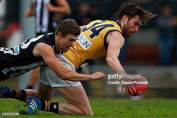 Liam McBean of the Tigers and Adam Oxley of the Magpies compete for the ball during the round 12 VFL match between the Collingwood Magpies and the...