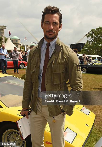 David Gandy attends The Cartier Style et Luxe at the Goodwood Festival of Speed at Goodwood on June 26, 2016 in Chichester, England.