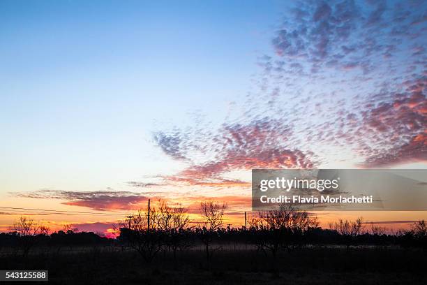 sunset in coutryside - san antonio de areco fotografías e imágenes de stock