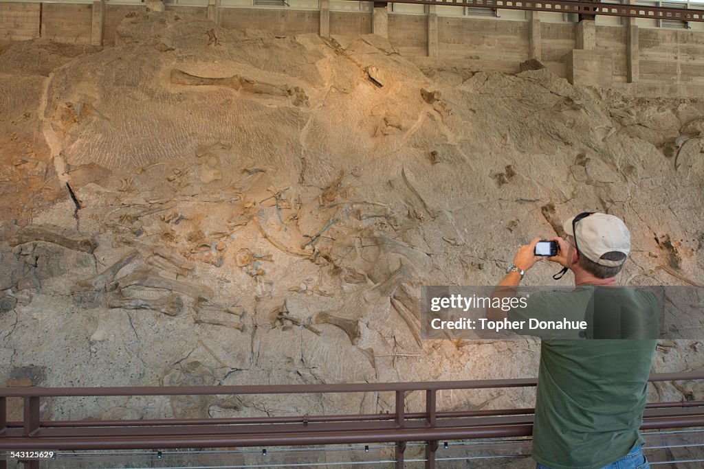 A man photographs dinosaur fossils