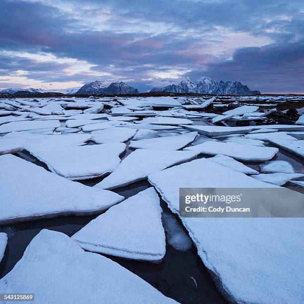 frozen sea ice along winter coastline, near nedredal, vestvagoy, lofoten islands, norway - ice floe stock pictures, royalty-free photos & images