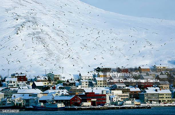 honningsvag is the northernmost city on the mainland of norway. - mageroya island stock pictures, royalty-free photos & images
