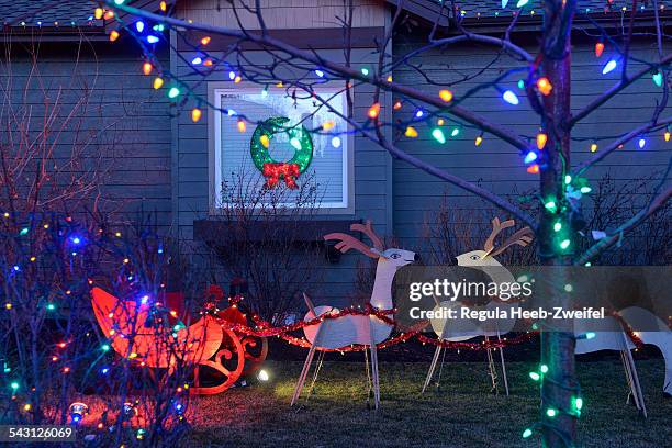 christmas decorations at private home, bend,oregon,usa - garden decoration fotografías e imágenes de stock