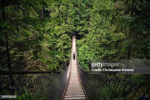 lynn canyon suspension bridge - person on suspension bridge stock pictures, royalty-free photos & images