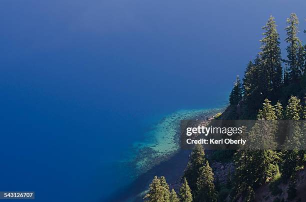 the crystal clear water shows the instant drop off at crater lake, the deepest lake in the usa at 1,943 feet. - crater lake stock pictures, royalty-free photos & images