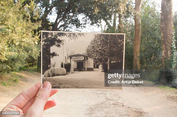 now and then, holding picture by hand on nature. - business history stock pictures, royalty-free photos & images