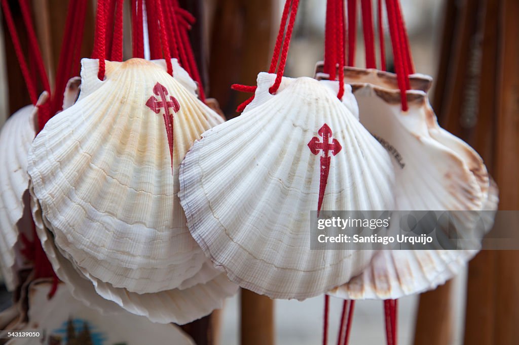 Seashells in walking sticks representing the Camino de Santiago