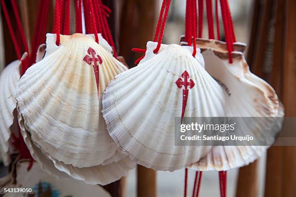 seashells in walking sticks representing the camino de santiago - santiago foto e immagini stock