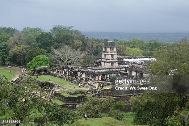 palace ruins in palenque - chiapas stock pictures, royalty-free photos & images