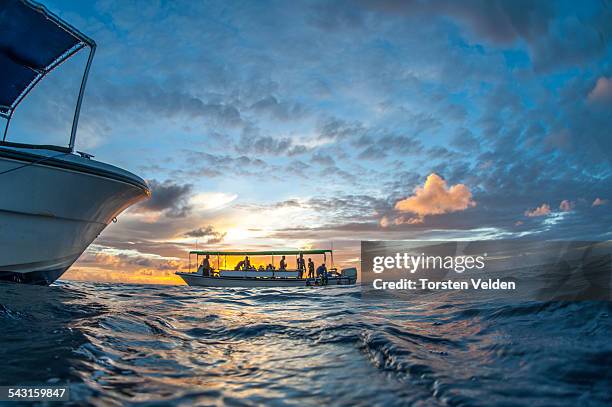 after dive sunset - palau stock pictures, royalty-free photos & images