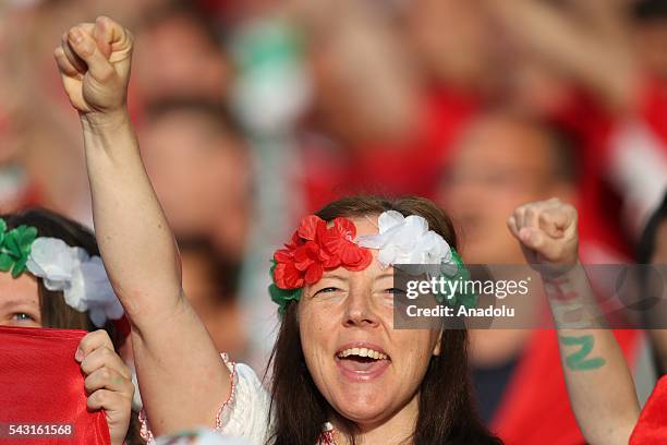 Fan supports her team prior to the UEFA Euro 2016 round of 16 football match between Hungary and Belgium at Stadium Municipal in Toulouse, France on...