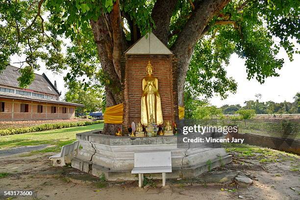 standing buddha statue wat phukhao thong temple ayutthaya thailand - world heritage mahabodhi stock pictures, royalty-free photos & images