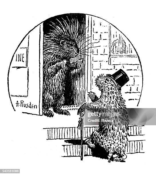 antique children's book comic illustration: animals at the door - funny groundhog stock illustrations